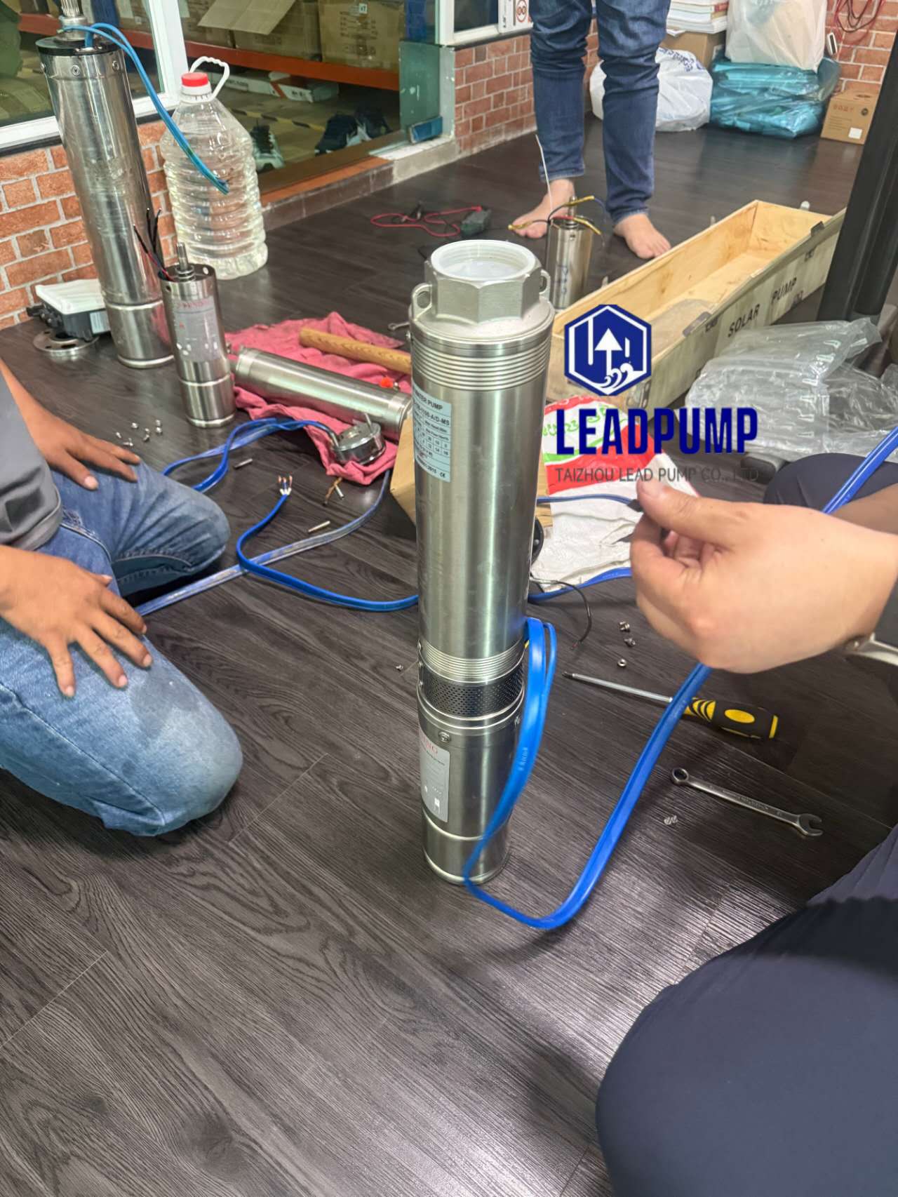 Taizhou Lead Pump Co。、Ltdは、ソーラーウォーターポンプの問題を伴う東南アジアの顧客のアシット顧客に急行します
