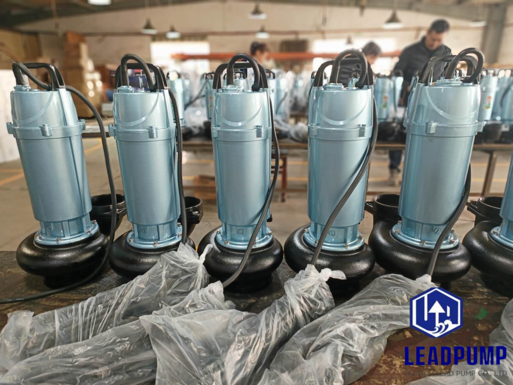 Taizhou Lead Pump Co。、Ltdは、中東の顧客向けに新しい潜水ポンプの生産を完了します
